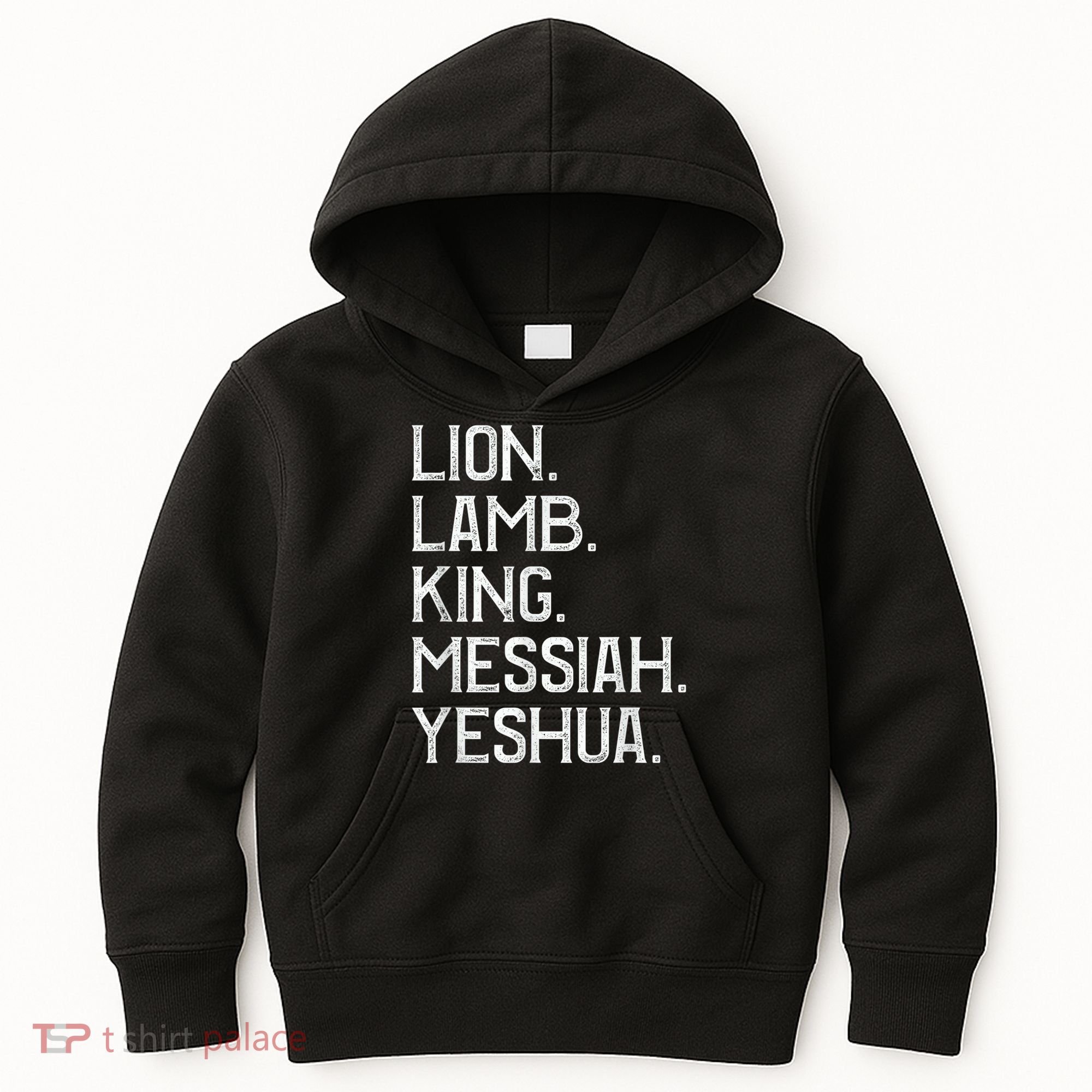Distressed Lion Lamb King Messiah Yeshua Christian Bible Kids Hoodie