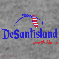 Desantisland Land Of Liberty Florida American Flag Toddler Hoodie thumb 2