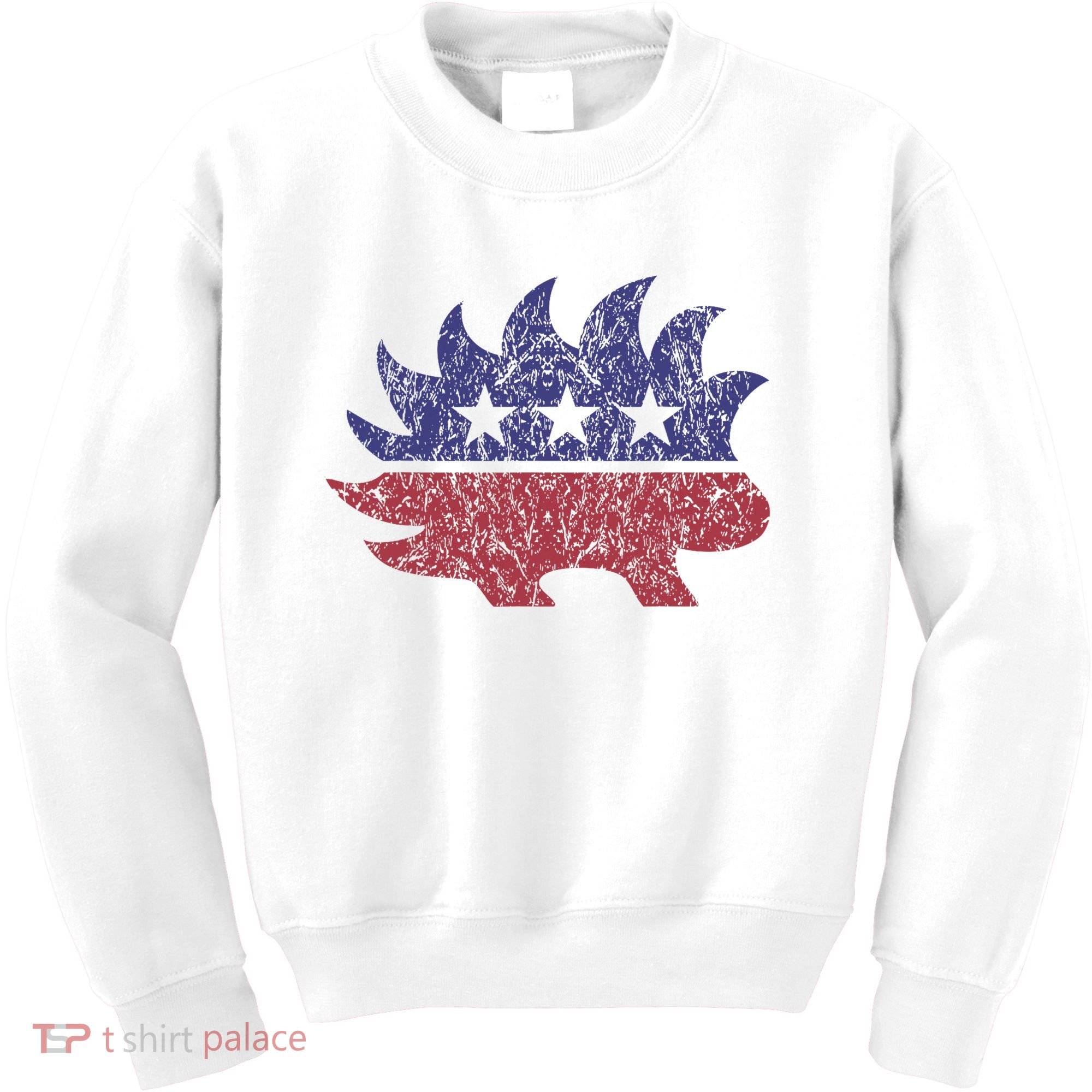 Distressed Libertarian Porcupine Cool Stylized Freedom Kids Sweatshirt