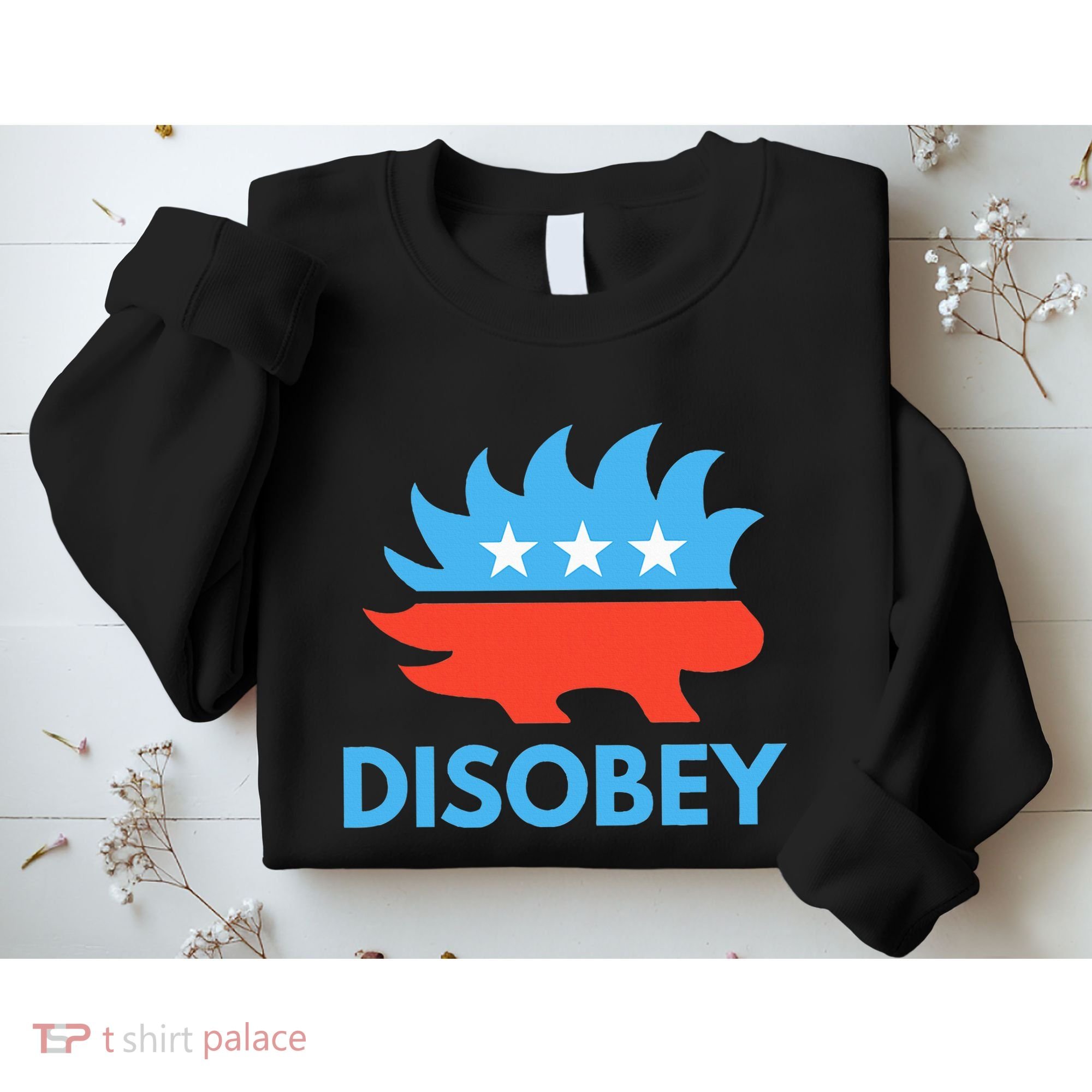 Disobey Libertarian Porcupine Resist Tyranny Gift Sweatshirt