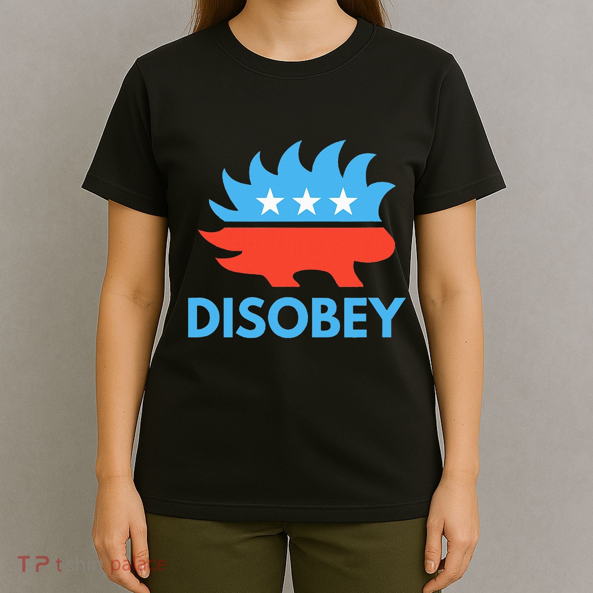 Disobey Libertarian Porcupine Resist Tyranny Gift T-Shirt