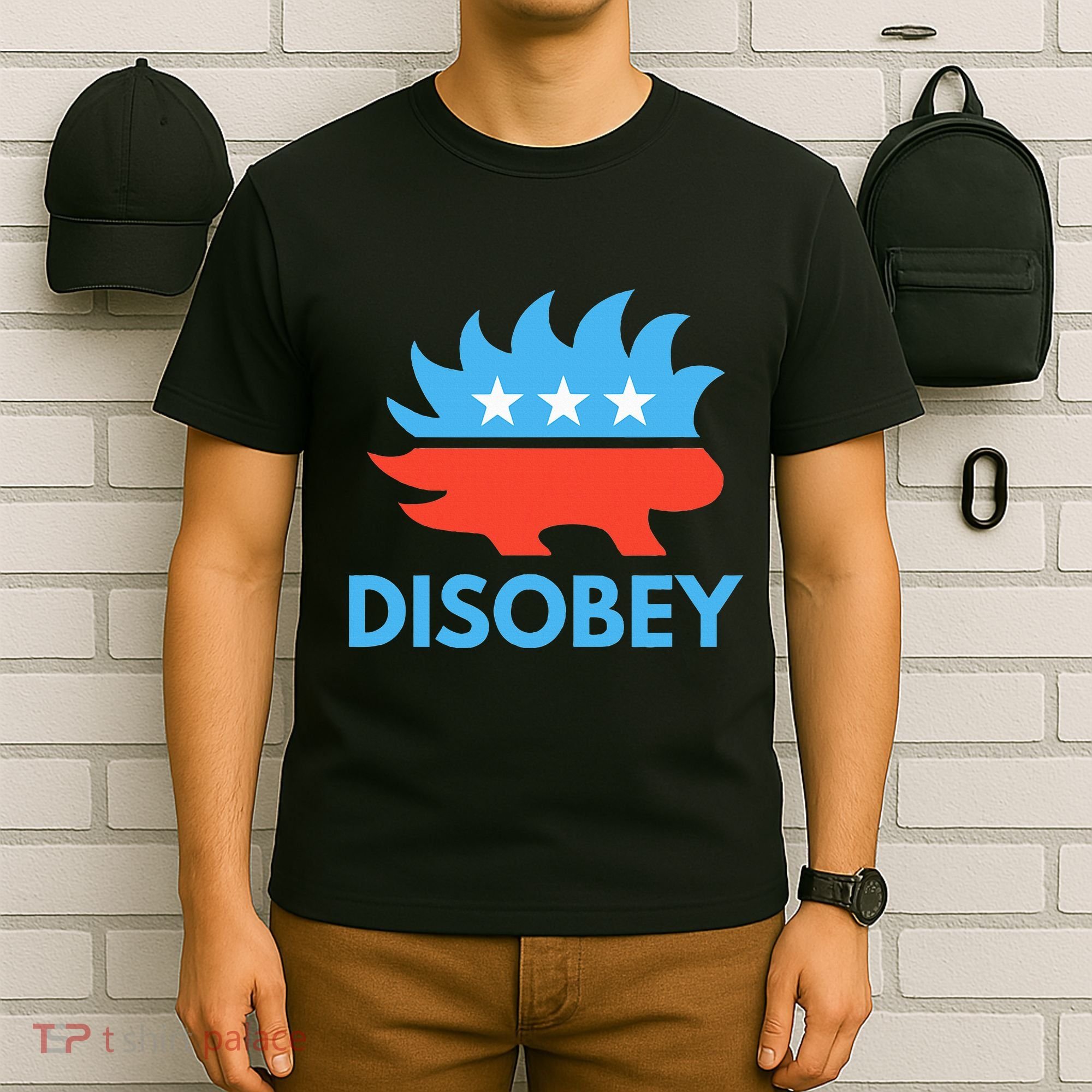 Disobey Libertarian Porcupine Resist Tyranny Gift T-Shirt