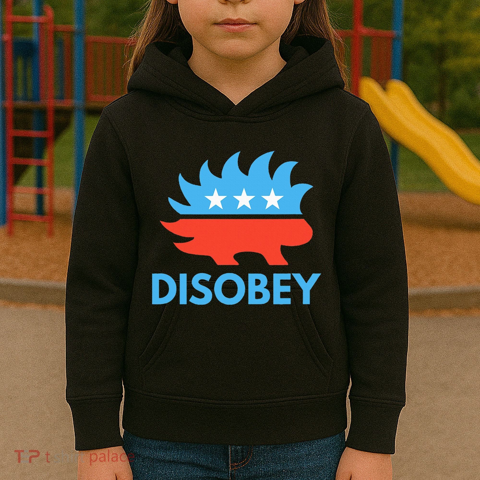 Disobey Libertarian Porcupine Resist Tyranny Gift Kids Hoodie