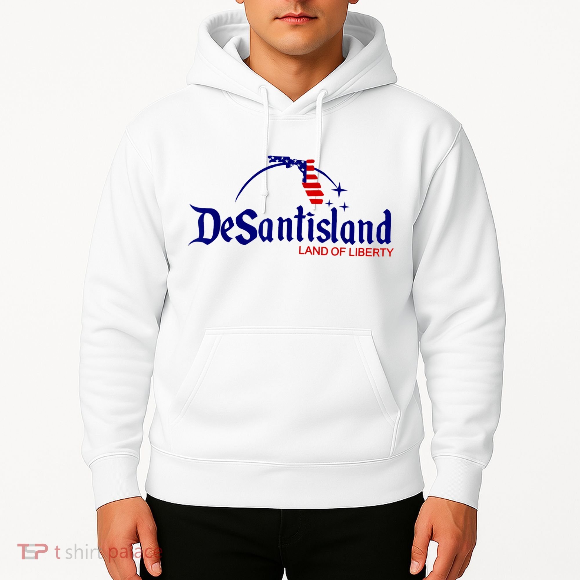 DeSantisLand Land State Of Liberty Florida Map Patriotic Hoodie