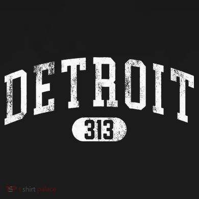 Detroit Michigan Area Code 313 Souvenir Long Sleeve Shirt