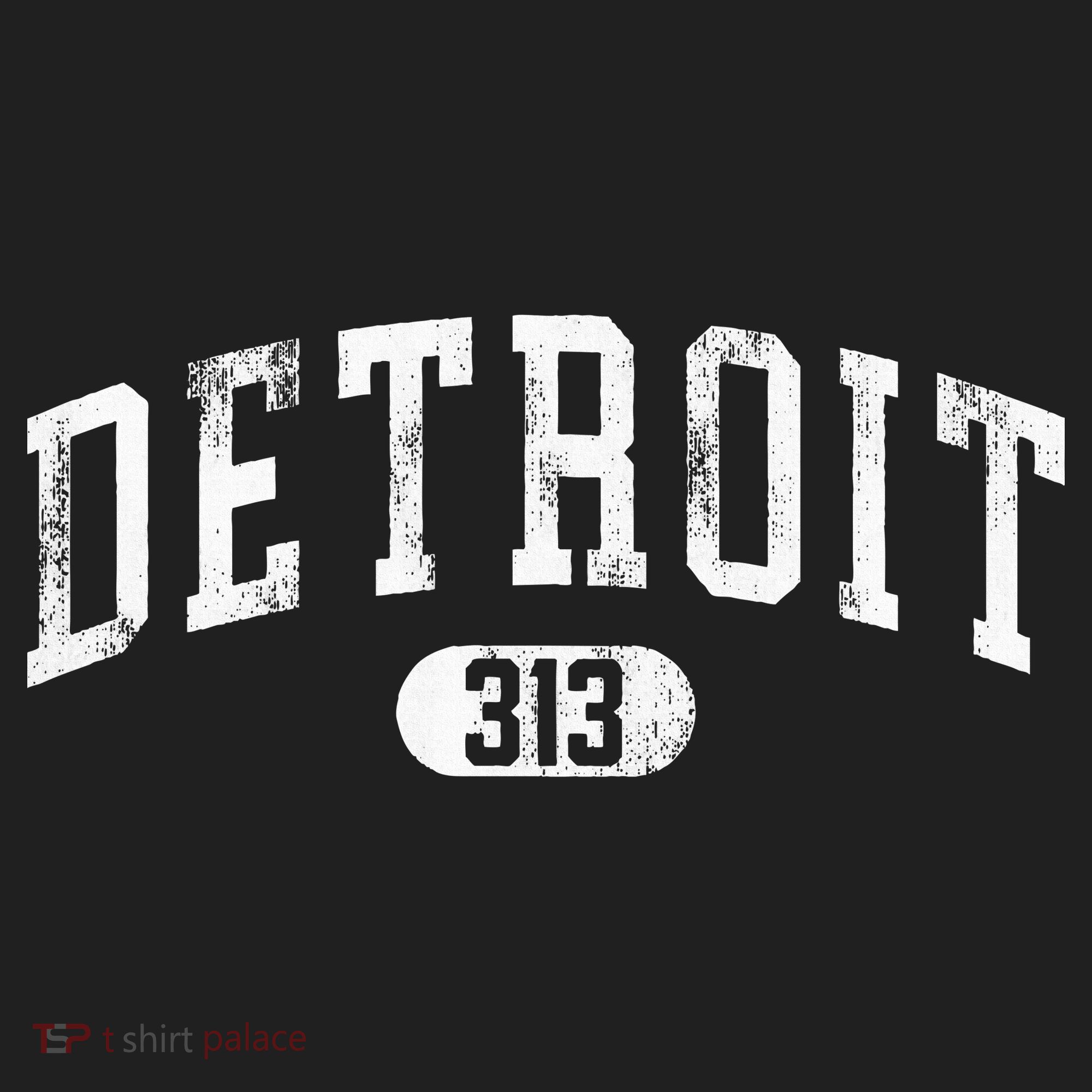 Detroit Michigan Area Code 313 Souvenir Beanie