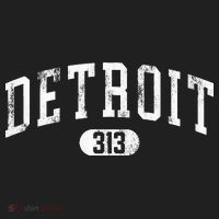 Detroit Michigan Area Code 313 Souvenir Tumbler thumb 3