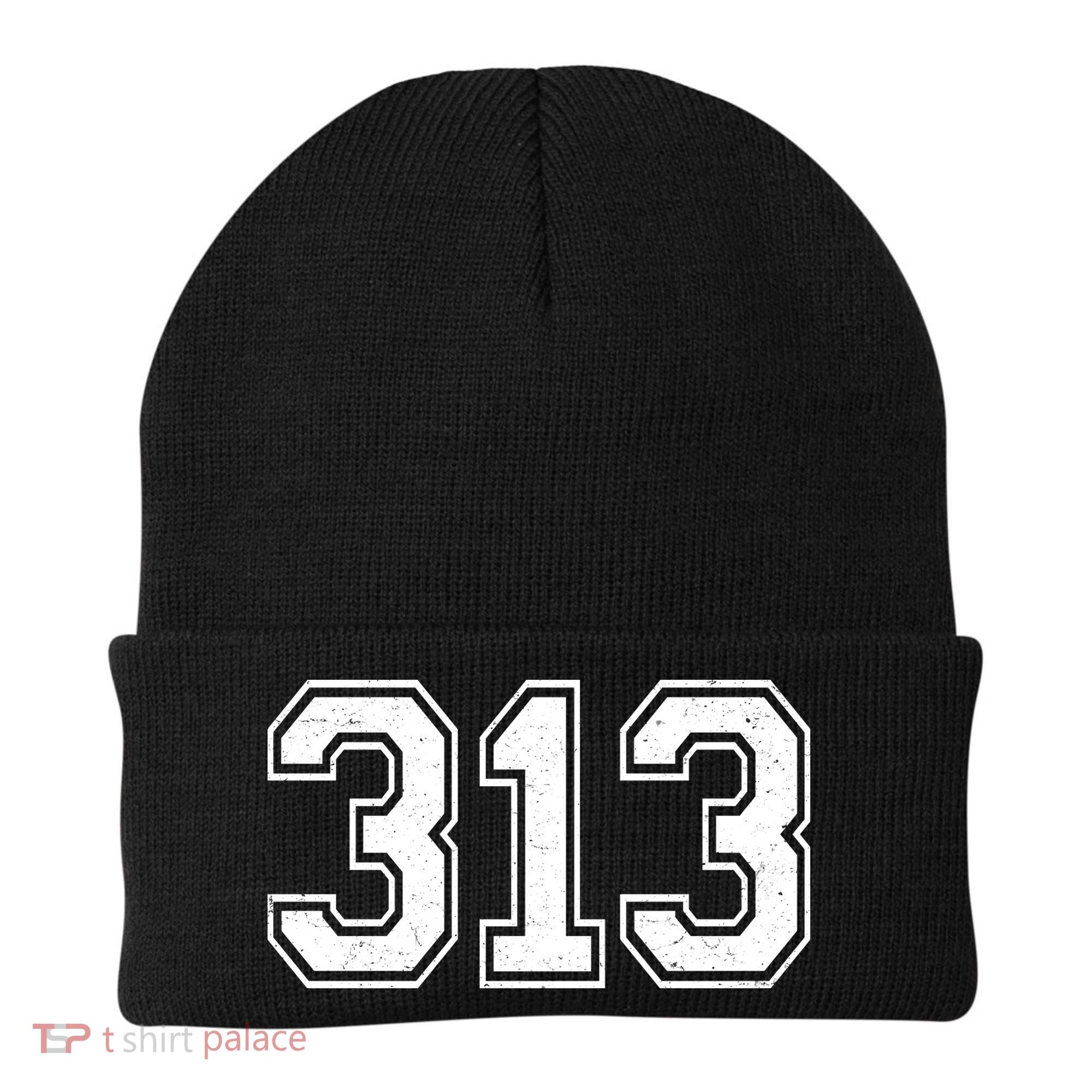 Detroit Michigan Area Code 313 Front And Back Beanie