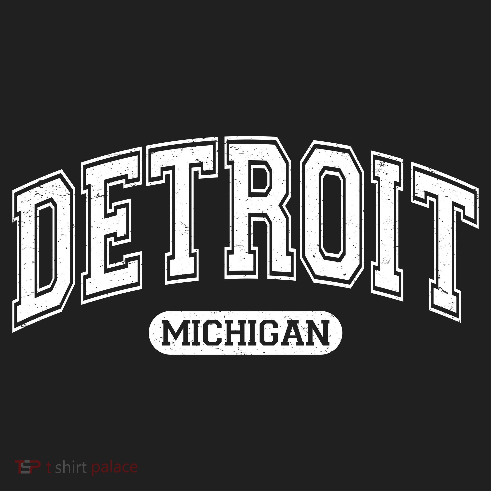 Detroit Michigan Area Code 313 Front And Back Hat