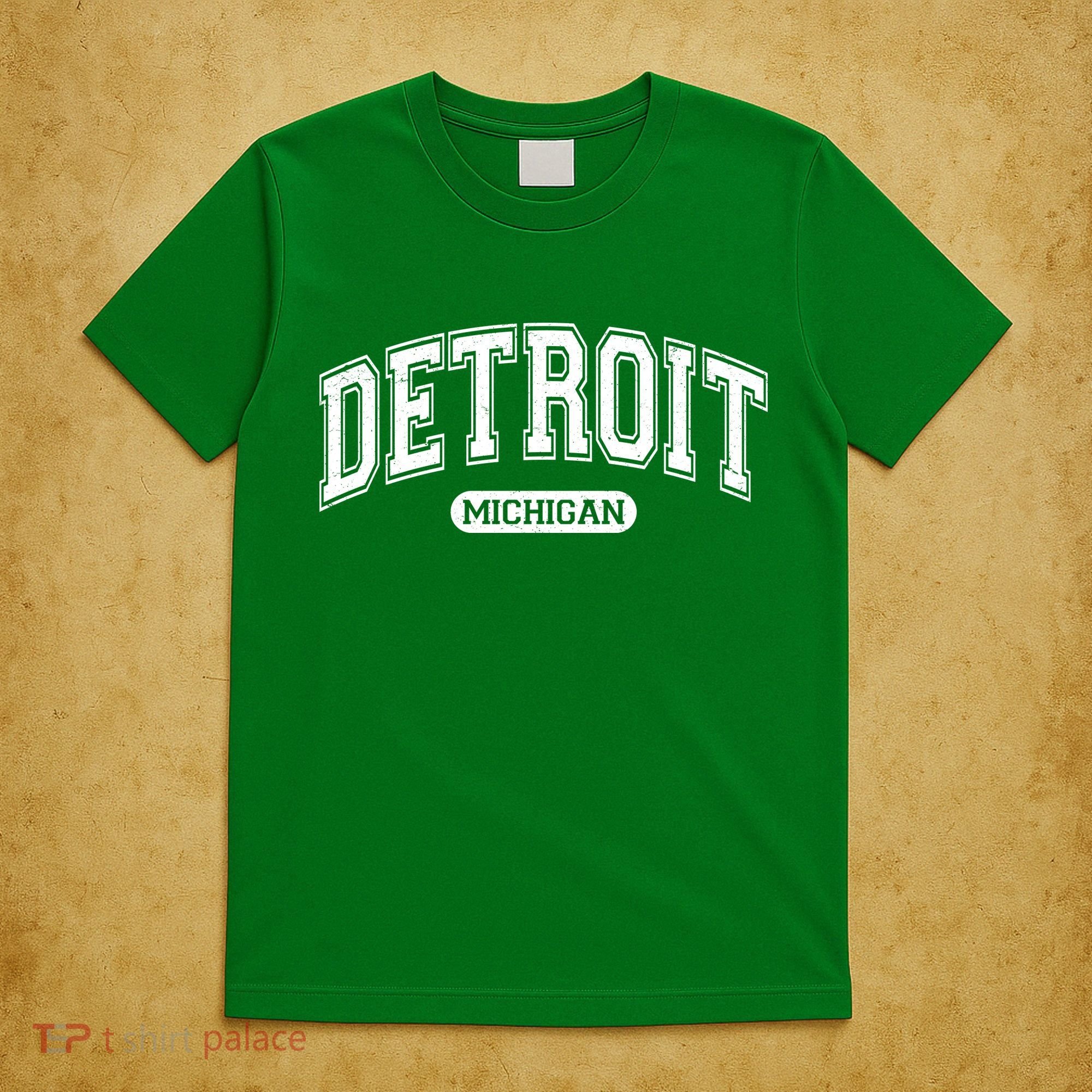 Detroit Michigan Area Code 313 Front And Back T-Shirt