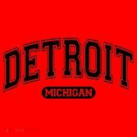 Detroit Michigan Area Code 313 Front And Back Santa Hat thumb 1