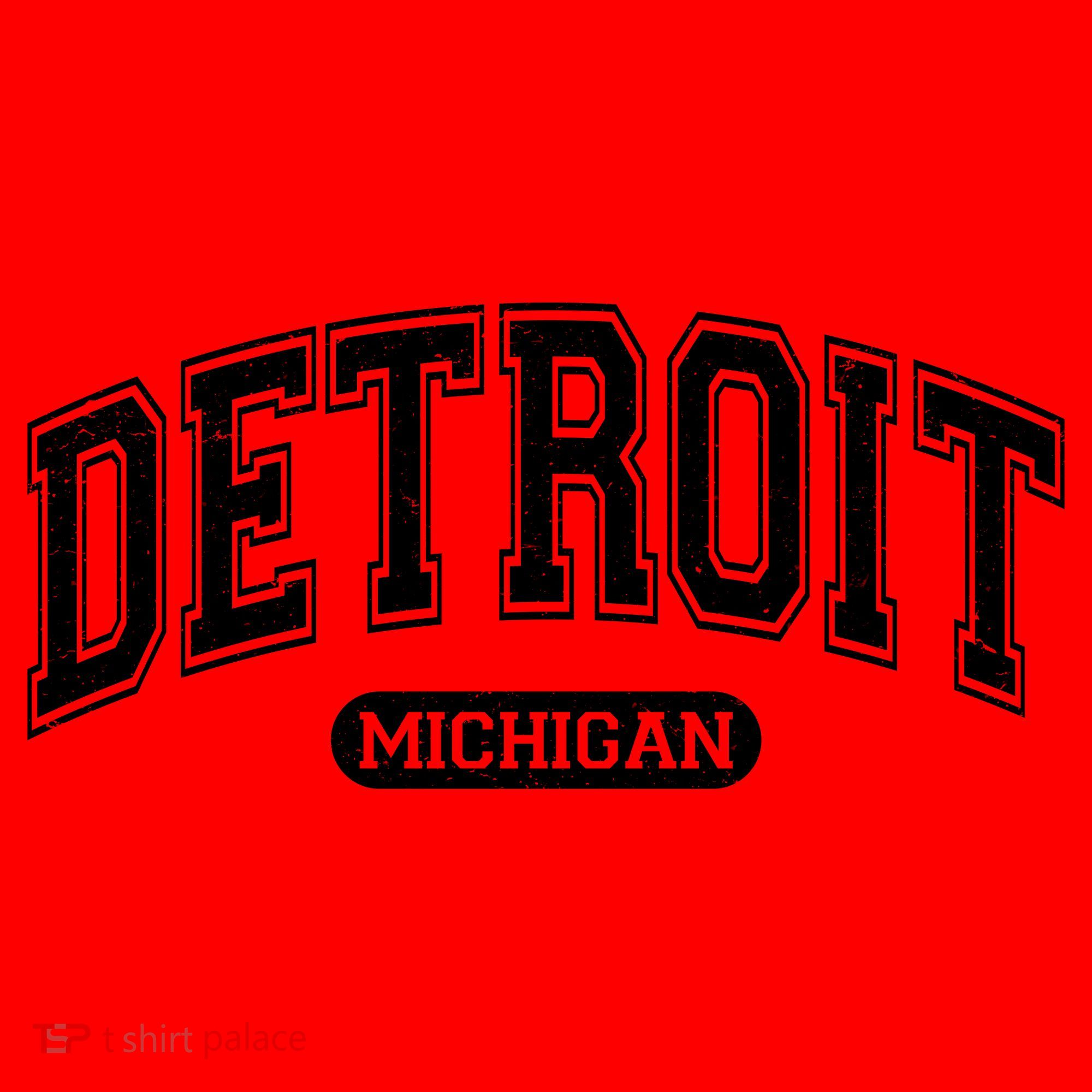 Detroit Michigan Area Code 313 Front And Back Santa Hat