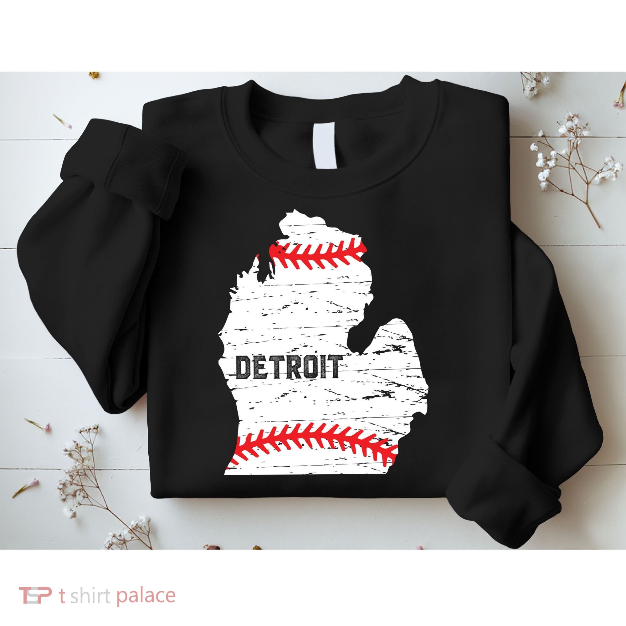 Detroit Michigan Baseball Sweatshirt