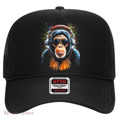Dj Monkey Hat