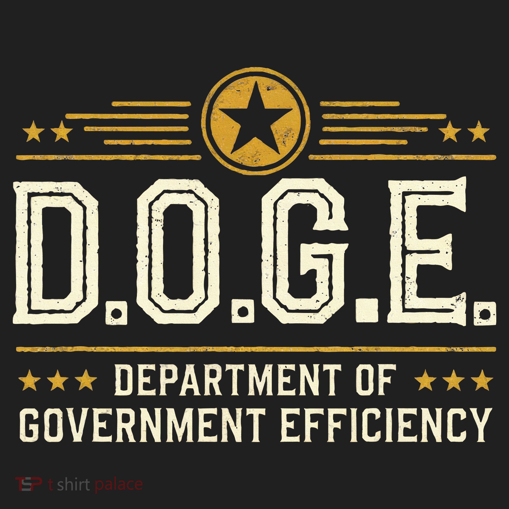 Doge Meme D.O.G.E. Department Of Government Efficiency Beanie