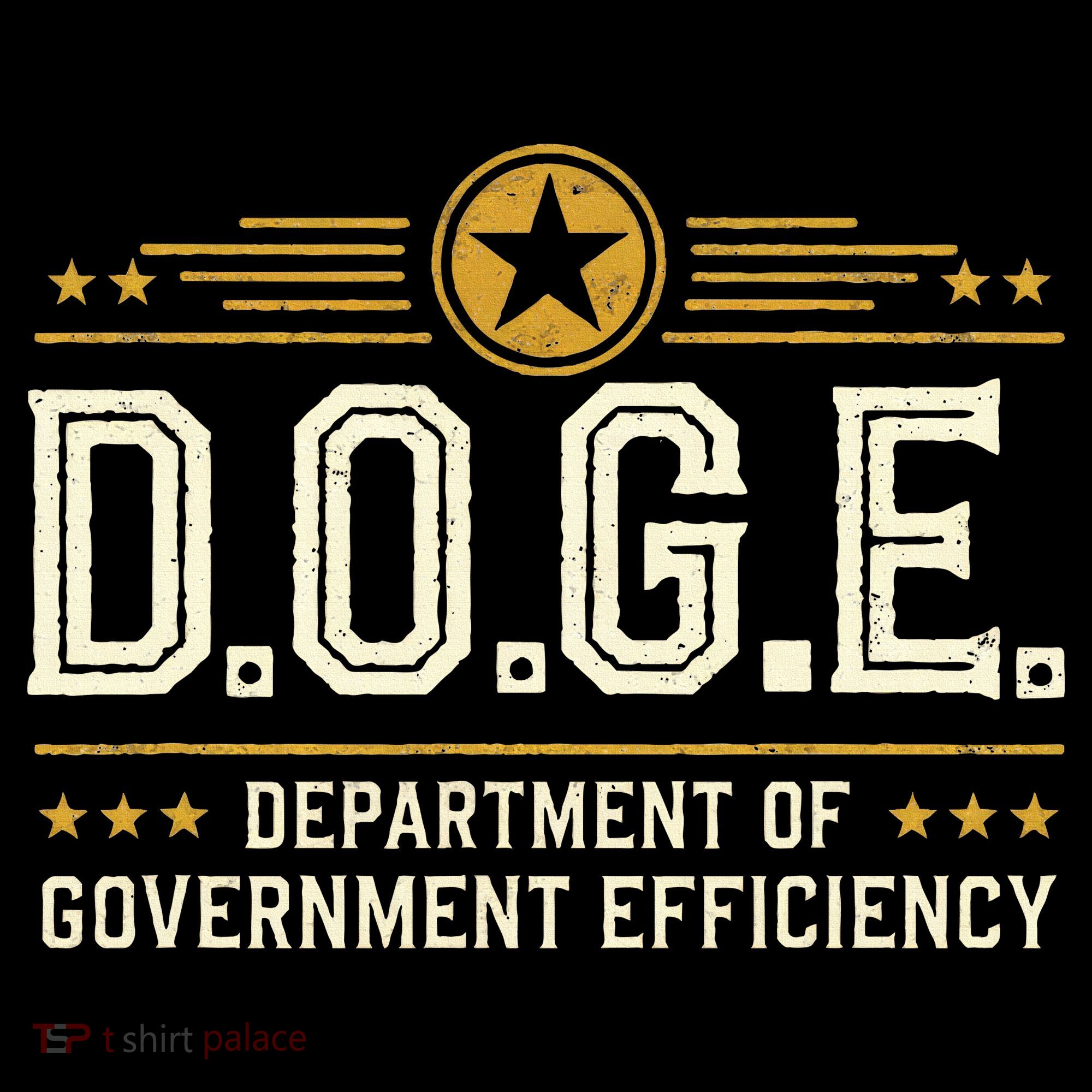 Doge Meme D.O.G.E. Department Of Government Efficiency Women's Hoodie