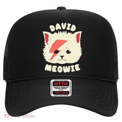 David Meowie Hat