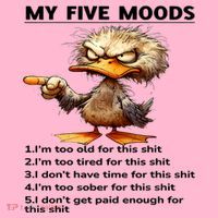 Duck My Five Moods I'm Too Old For This Shit I'm Too Tired  Coaster thumb 2