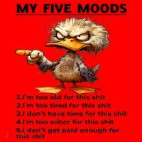 Duck My Five Moods I'm Too Old For This Shit I'm Too Tired  Santa Hat thumb 1