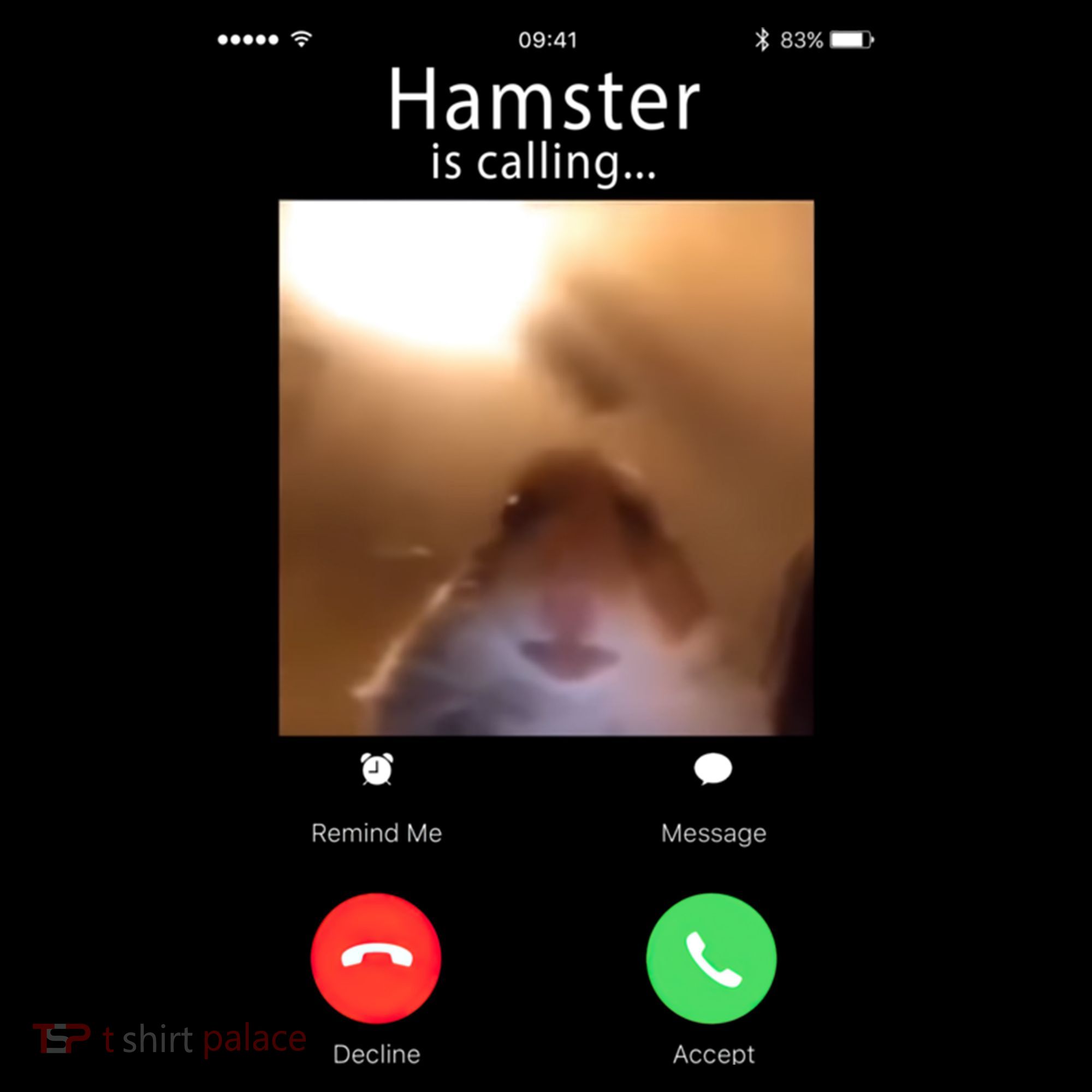 Dank Meme Hamster Staring Front Camera Hamster Calling Gift Bucket Hat