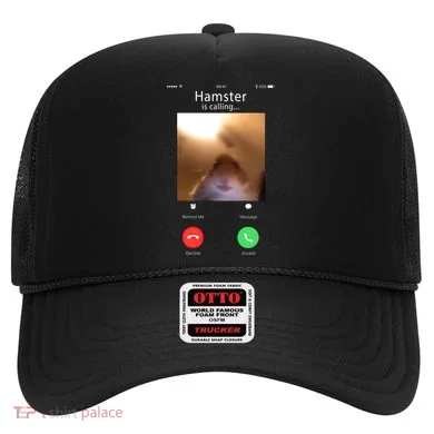 Dank Meme Hamster Staring Front Camera Hamster Calling Gift Hat
