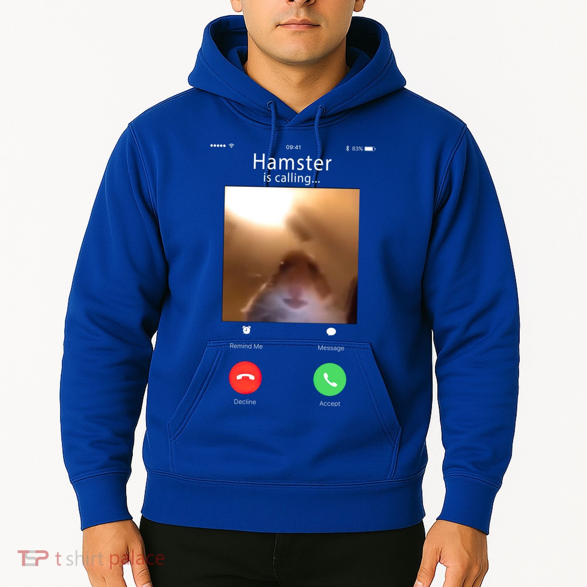Dank Meme Hamster Staring Front Camera Hamster Calling Gift Hoodie