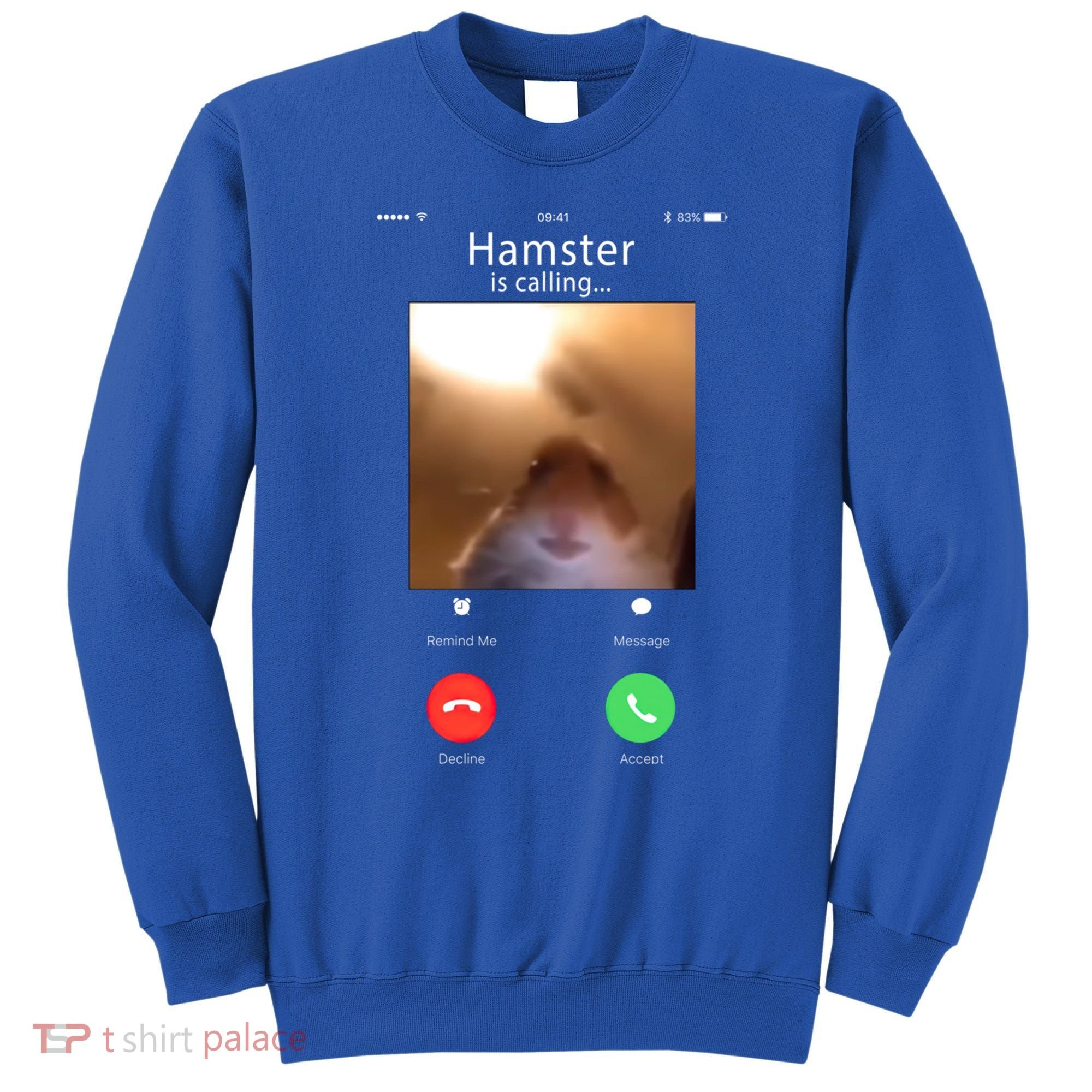 Dank Meme Hamster Staring Front Camera Hamster Calling Gift Sweatshirt