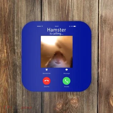 Dank Meme Hamster Staring Front Camera Hamster Calling Gift Coaster