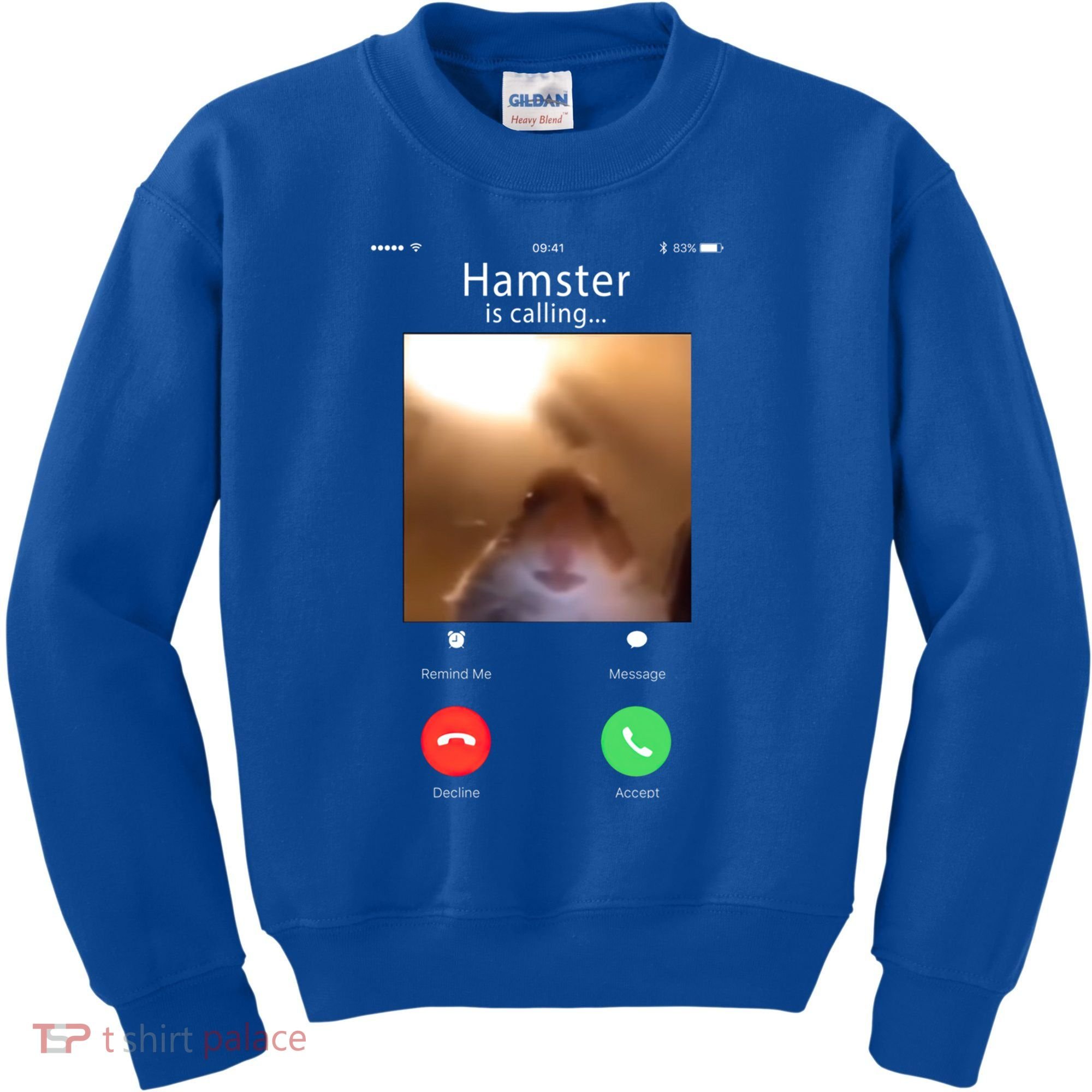 Dank Meme Hamster Staring Front Camera Hamster Calling Gift Kids Sweatshirt
