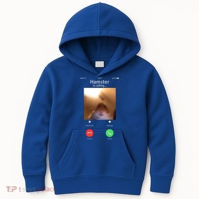 Dank Meme Hamster Staring Front Camera Hamster Calling Gift Kids Hoodie