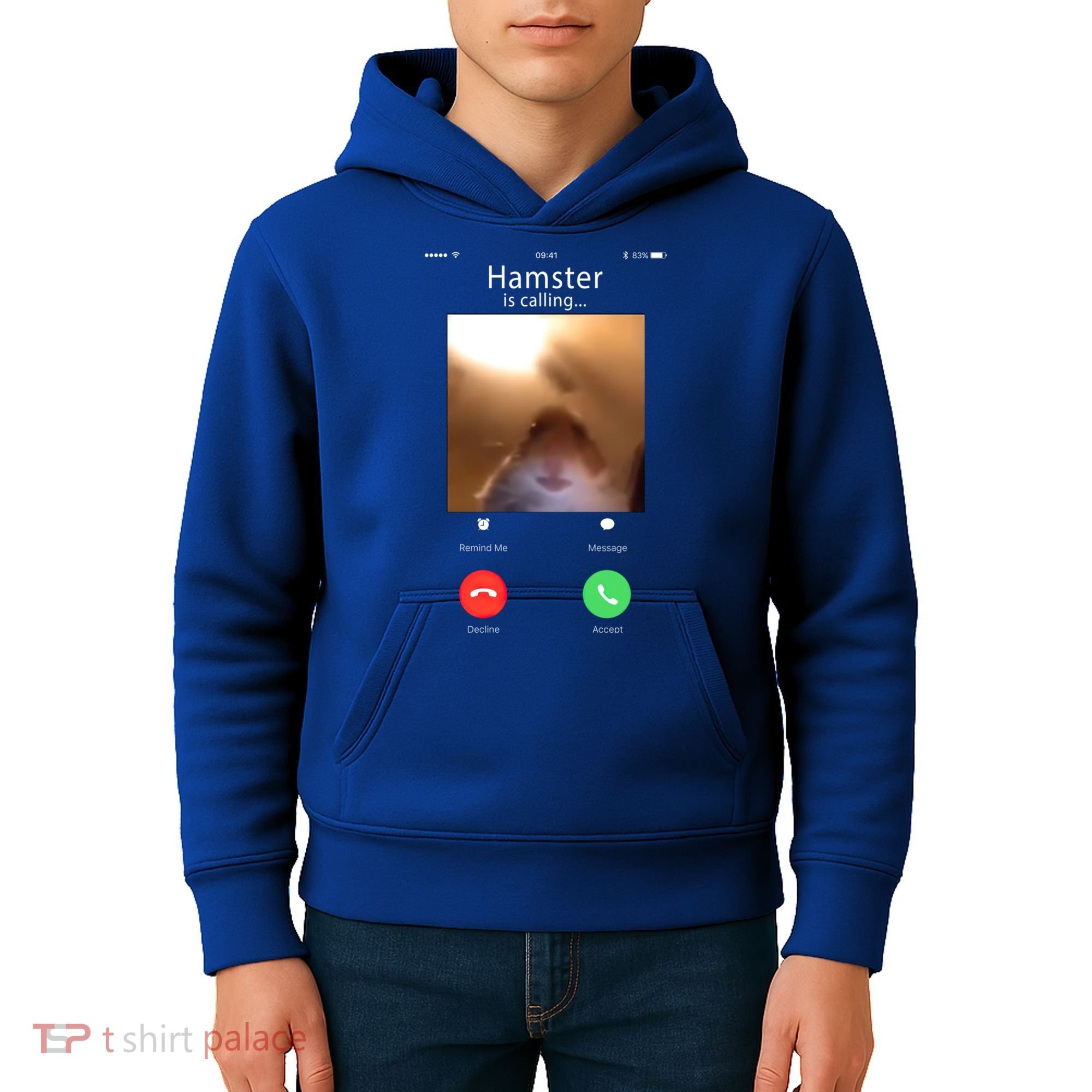 Dank Meme Hamster Staring Front Camera Hamster Calling Gift Kids Hoodie