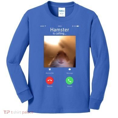 Dank Meme Hamster Staring Front Camera Hamster Calling Gift Kids Long Sleeve Shirt