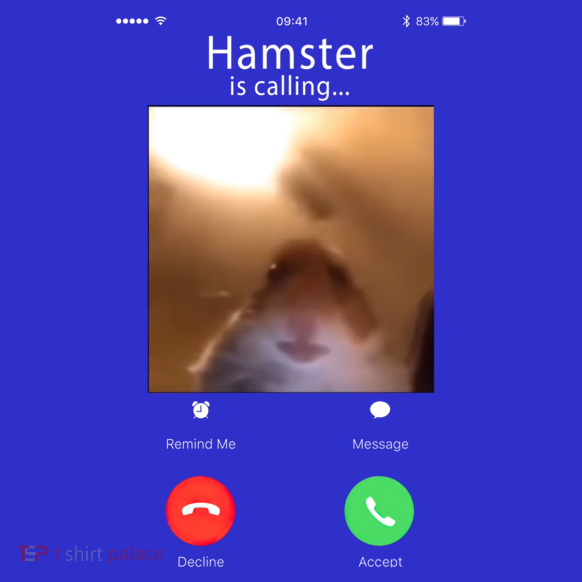 Dank Meme Hamster Staring Front Camera Hamster Calling Gift Kids T-Shirt