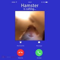 Dank Meme Hamster Staring Front Camera Hamster Calling Gift Tote Bag thumb 4