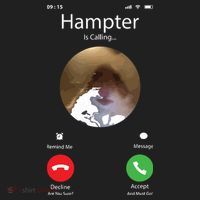 Dank Meme Hamster Staring Front Camera Hampter Calling Tumbler thumb 3