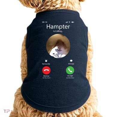 Dank Meme Hamster Staring Front Camera Hampter Calling Doggie Tank
