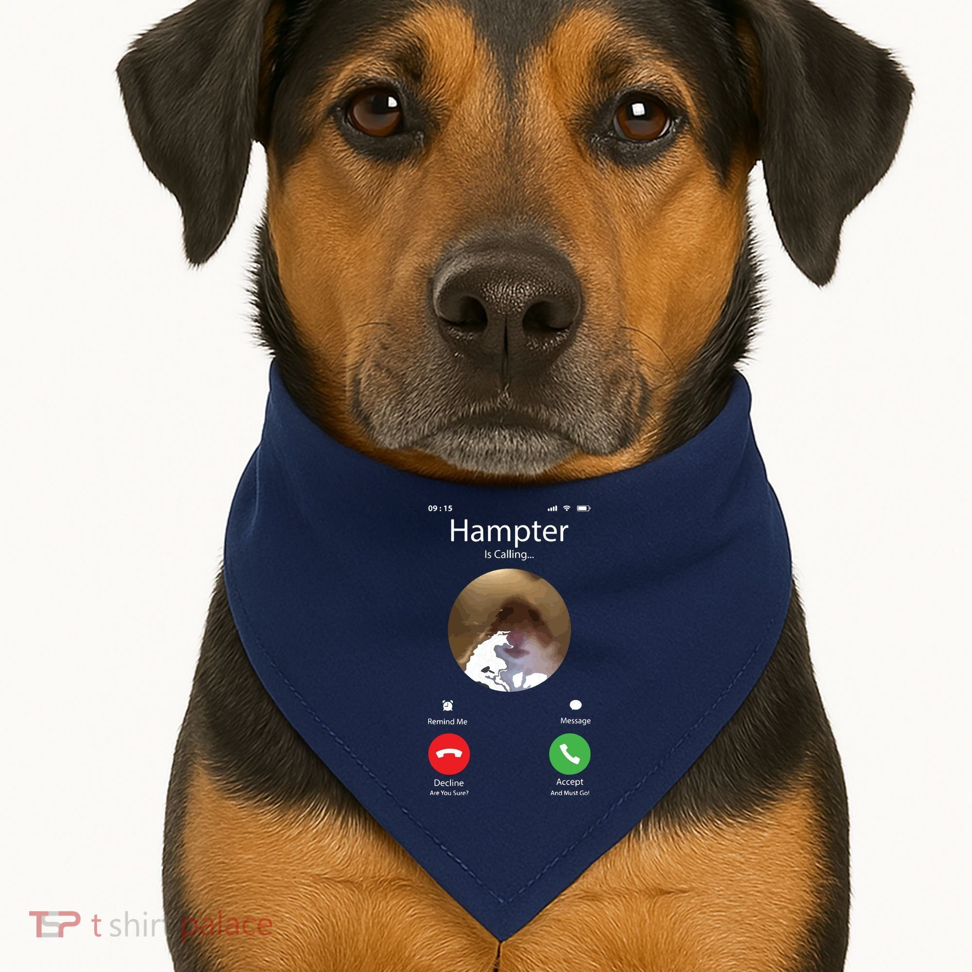 Dank Meme Hamster Staring Front Camera Hampter Calling USA-Made Doggie Bandana