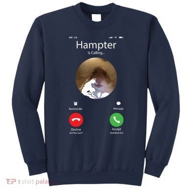Dank Meme Hamster Staring Front Camera Hampter Calling Sweatshirt