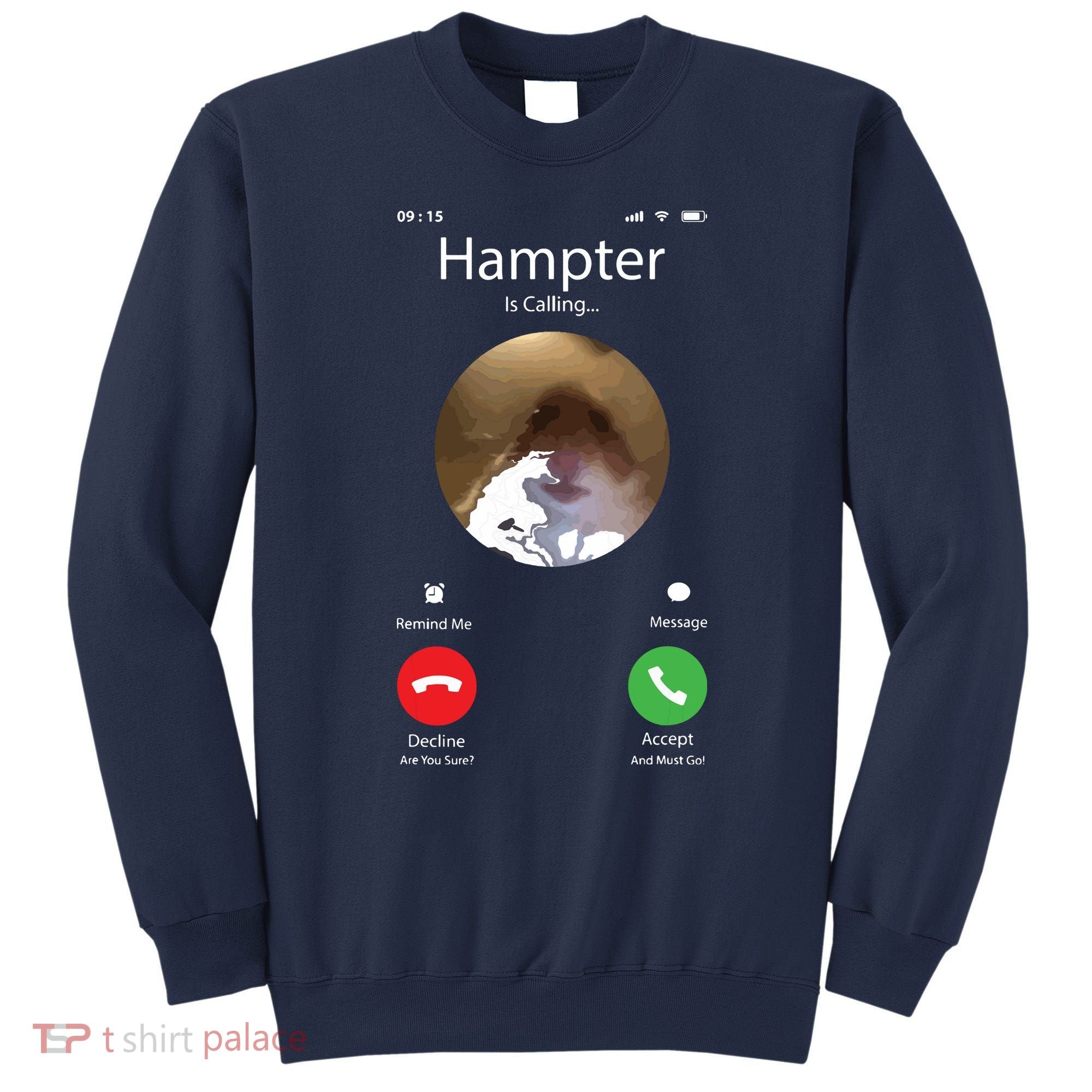 Dank Meme Hamster Staring Front Camera Hampter Calling Sweatshirt