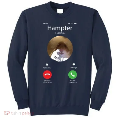 Dank Meme Hamster Staring Front Camera Hampter Calling Sweatshirt