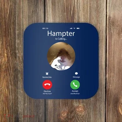 Coaster