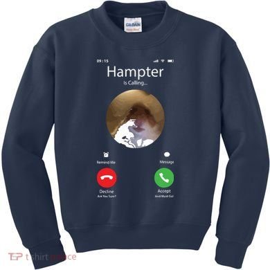 Dank Meme Hamster Staring Front Camera Hampter Calling Kids Sweatshirt
