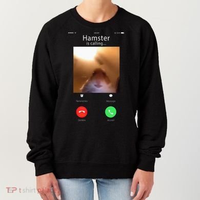 Dank Meme Hamster Staring Front Camera Hamster Calling Gift Women's Sweatshirt