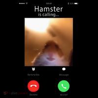 Dank Meme Hamster Staring Front Camera Hamster Calling Gift USA-Made Doggie Bandana thumb 2
