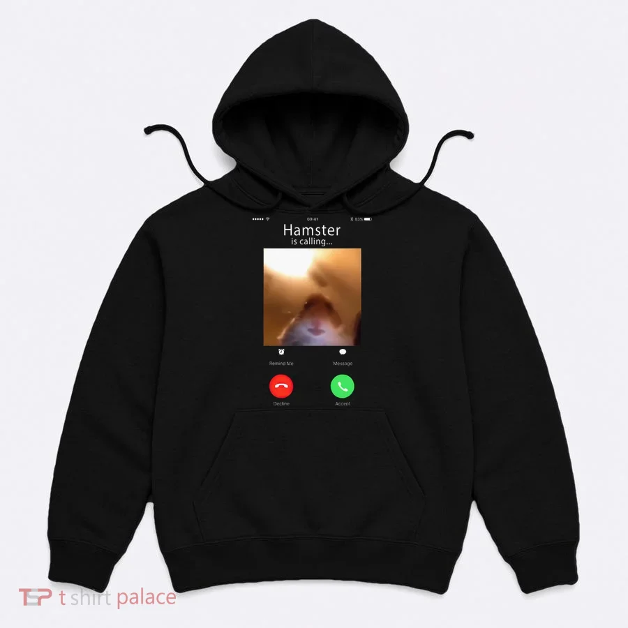 Dank Meme Hamster Staring Front Camera Hamster Calling Gift Hoodie