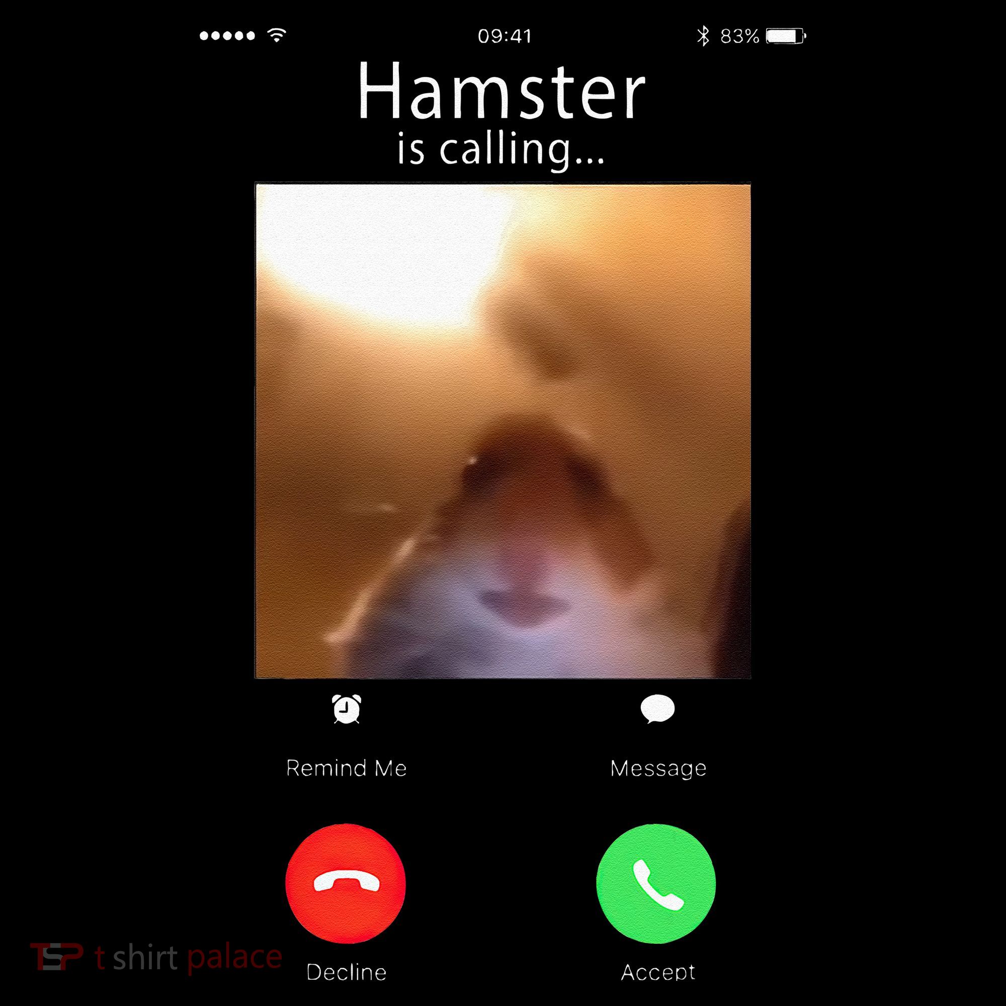 Dank Meme Hamster Staring Front Camera Hamster Calling Gift Sweatshirt