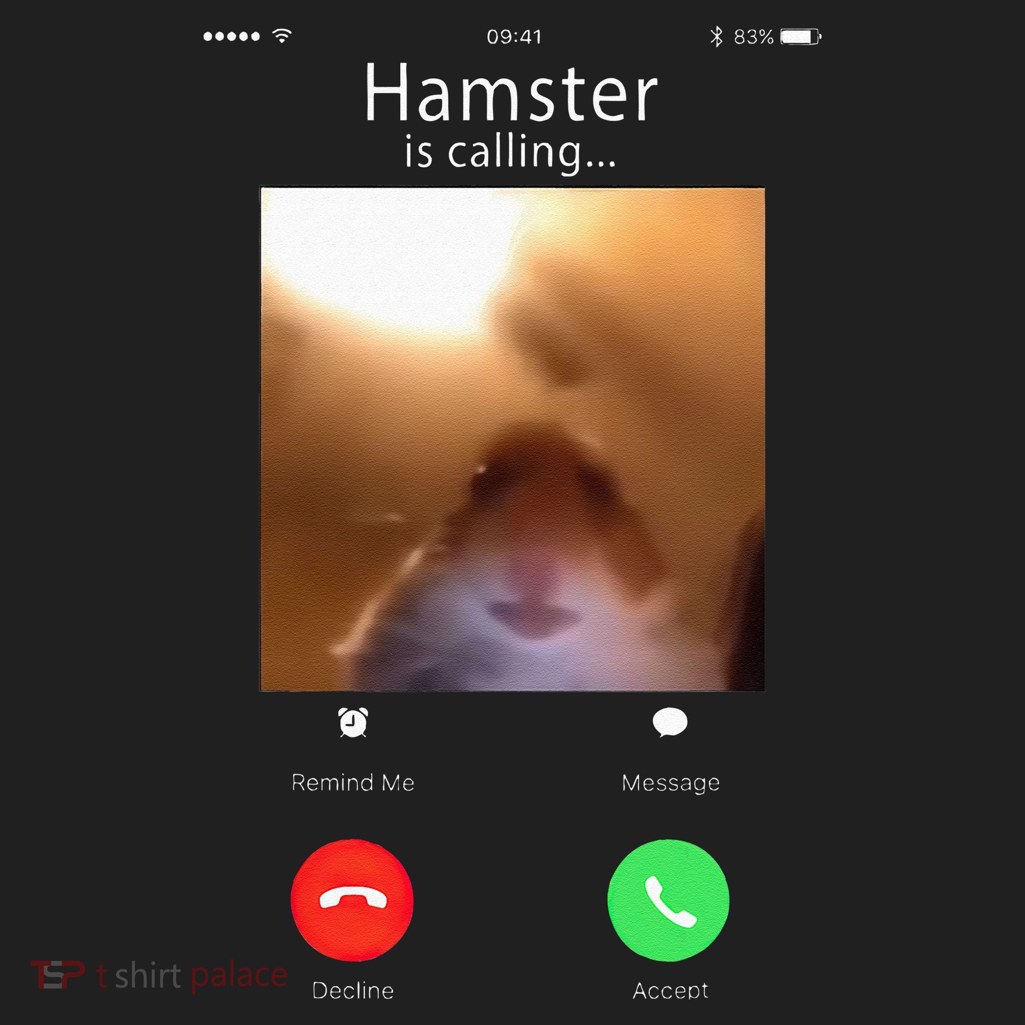 Dank Meme Hamster Staring Front Camera Hamster Calling Gift Beanie