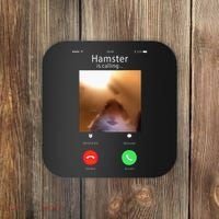 Dank Meme Hamster Staring Front Camera Hamster Calling Gift Coaster thumb 0