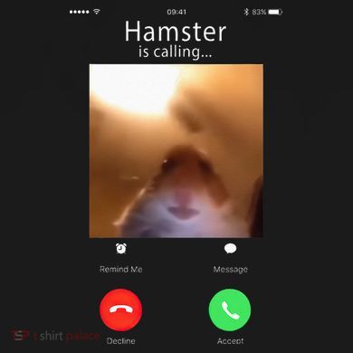 Dank Meme Hamster Staring Front Camera Hamster Calling Gift Women's Perfect Tri Tunic Long Sleeve Shirt