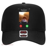 Dank Meme Hamster Staring Front Camera Hamster Calling Gift Hat thumb 0